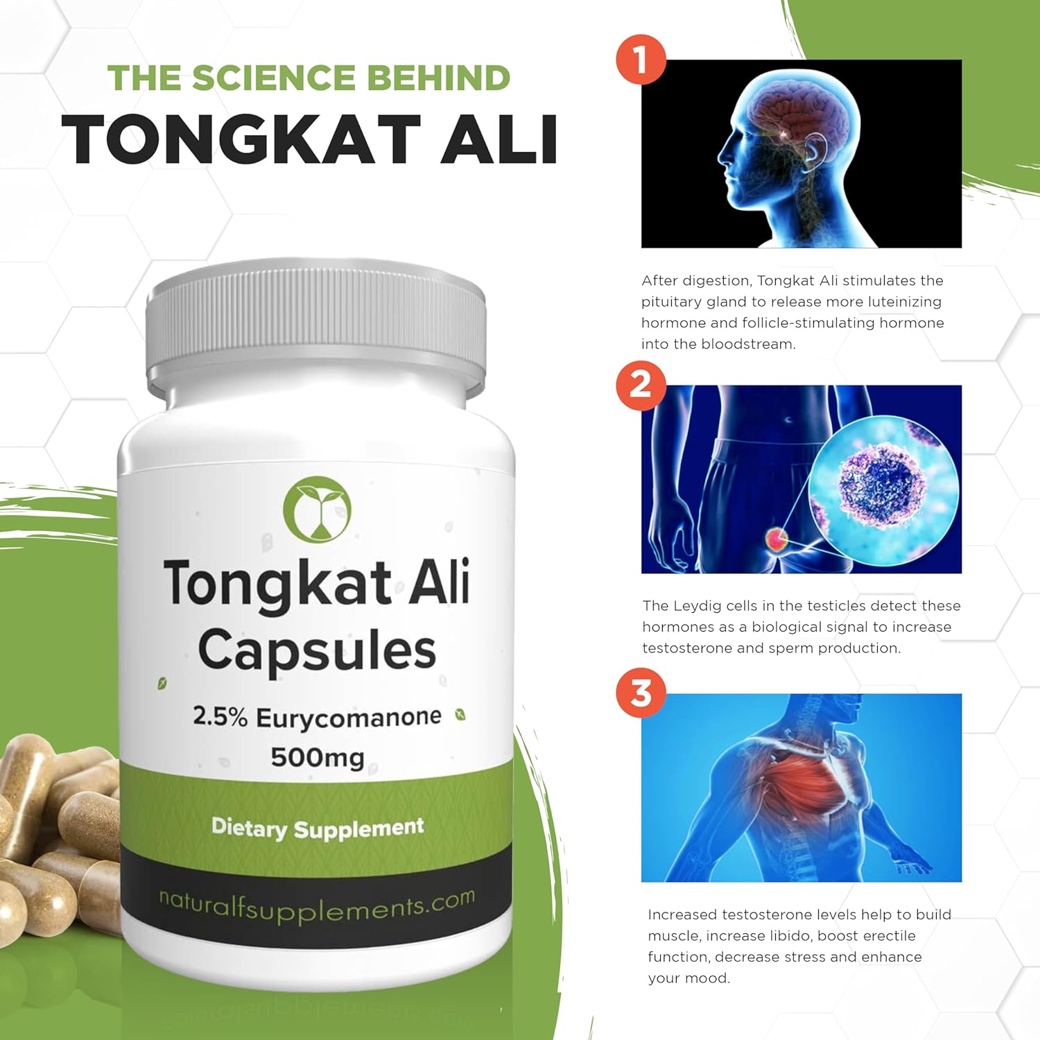 Tongkat Ali review