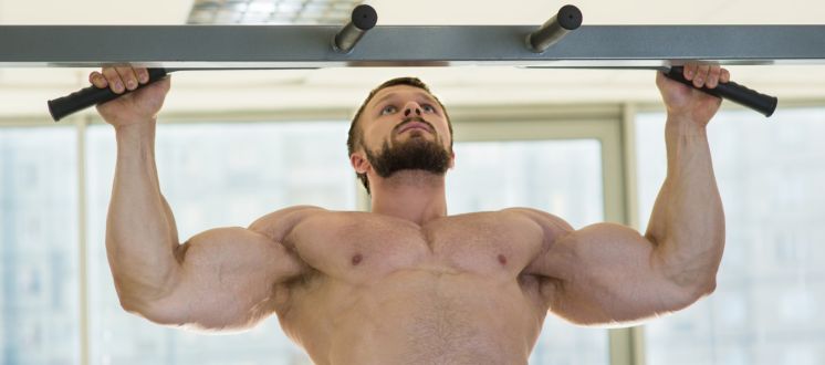 Back Workouts: Pull Ups